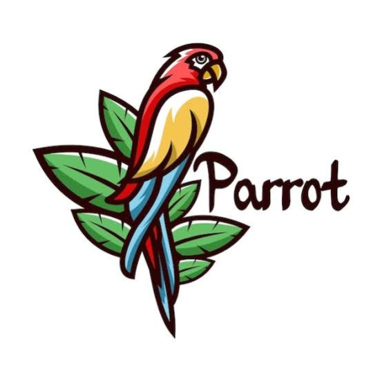 Your Parrot