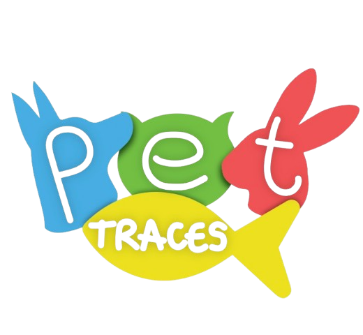 site-logo image